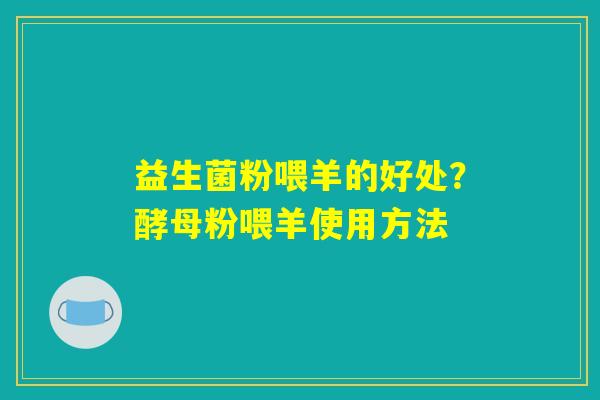 益生菌粉喂羊的好处？酵母粉喂羊使用方法