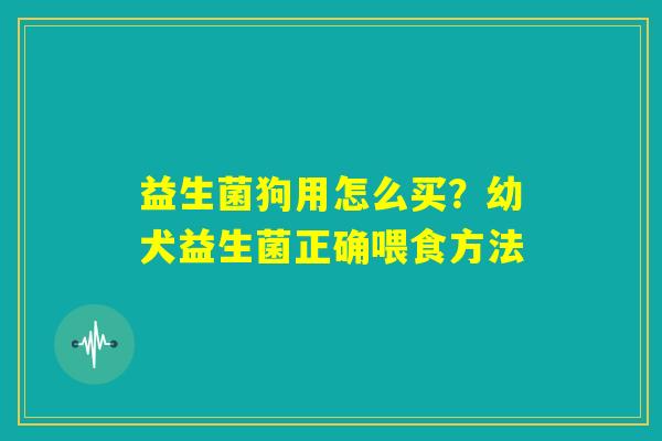 益生菌狗用怎么买？幼犬益生菌正确喂食方法