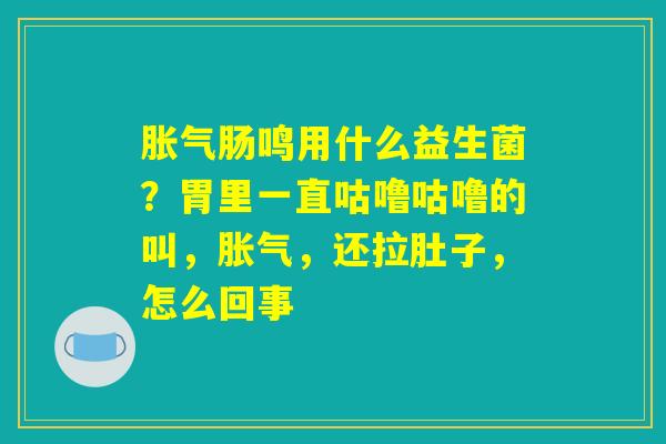 胀气肠鸣用什么益生菌?胃里一直咕噜咕噜的叫,胀气,还拉肚子,怎么回事 胀气肠鸣用什么益生菌?胃里一直咕噜咕噜的叫,胀气,还拉肚子,怎么回事