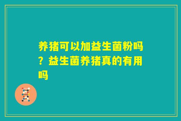 养猪可以加益生菌粉吗？益生菌养猪真的有用吗