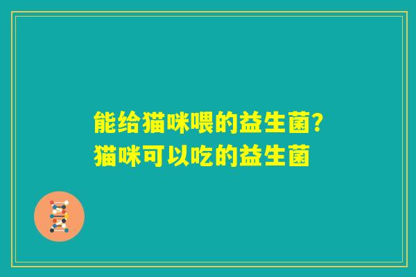能给猫咪喂的益生菌？猫咪可以吃的益生菌