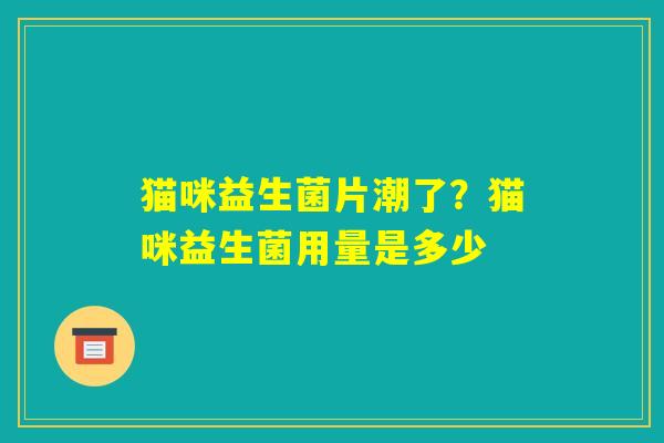 猫咪益生菌片潮了?猫咪益生菌用量是多少 猫咪益生菌片潮了?猫咪益生菌用量是多少