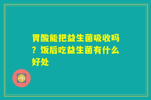 胃酸能把益生菌吸收吗?饭后吃益生菌有什么好处 胃酸能把益生菌吸收吗?饭后吃益生菌有什么好处