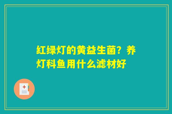 红绿灯的黄益生菌?养灯科鱼用什么滤材好 红绿灯的黄益生菌?养灯科鱼用什么滤材好