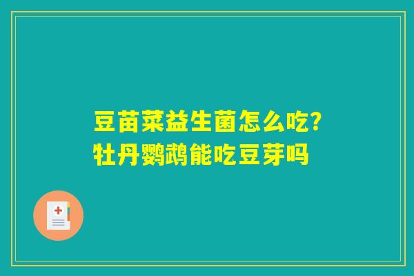 豆苗菜益生菌怎么吃？牡丹鹦鹉能吃豆芽吗