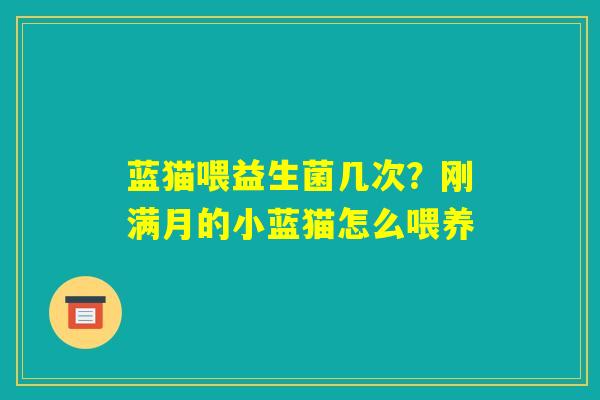 蓝猫喂益生菌几次?刚满月的小蓝猫怎么喂养 蓝猫喂益生菌几次?刚满月的小蓝猫怎么喂养
