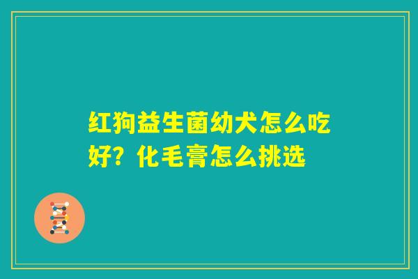 红狗益生菌幼犬怎么吃好?化毛膏怎么挑选 红狗益生菌幼犬怎么吃好?化毛膏怎么挑选