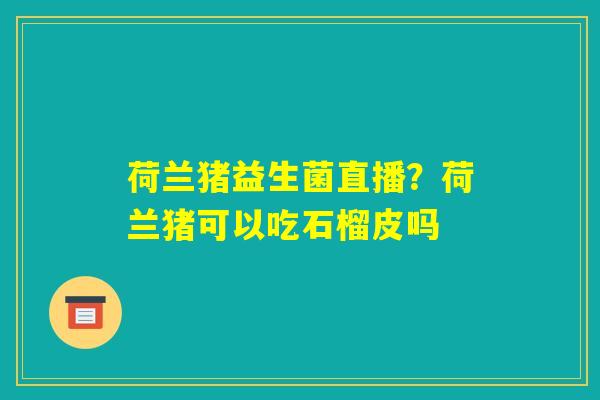 荷兰猪益生菌直播?荷兰猪可以吃石榴皮吗 荷兰猪益生菌直播?荷兰猪可以吃石榴皮吗