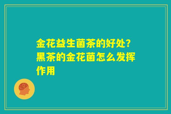 金花益生菌茶的好处？黑茶的金花菌怎么发挥作用