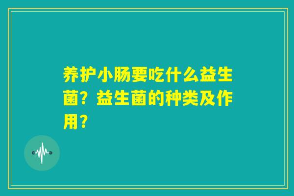 养护小肠要吃什么益生菌?益生菌的种类及作用? 养护小肠要吃什么益生菌?益生菌的种类及作用?