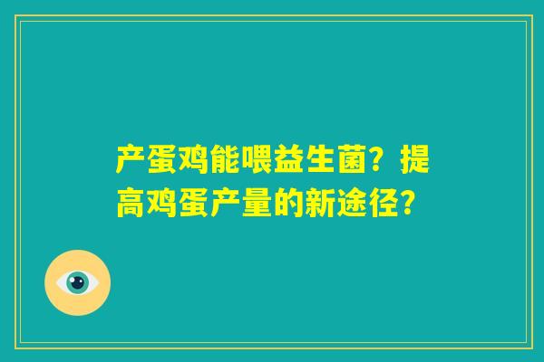 产蛋鸡能喂益生菌？提高鸡蛋产量的新途径？
