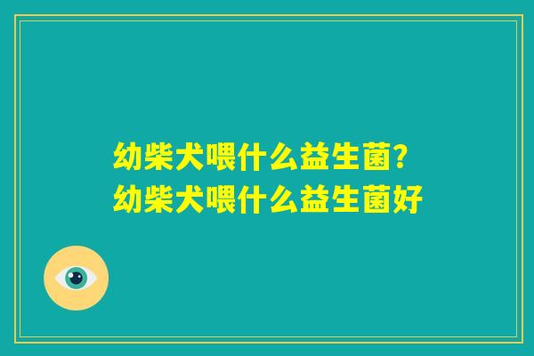 幼柴犬喂什么益生菌?幼柴犬喂什么益生菌好 幼柴犬喂什么益生菌?幼柴犬喂什么益生菌好