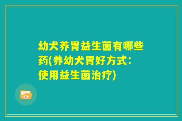 幼犬养胃益生菌有哪些药(养幼犬胃好方式：使用益生菌治疗)