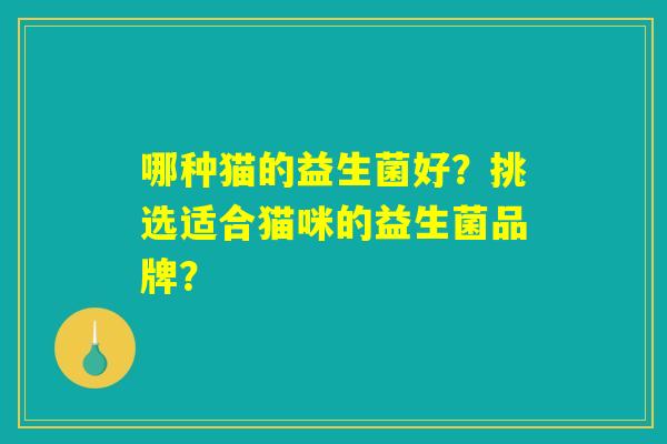 哪种猫的益生菌好？挑选适合猫咪的益生菌品牌？