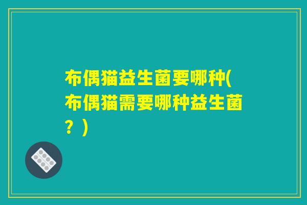 布偶猫益生菌要哪种(布偶猫需要哪种益生菌？)