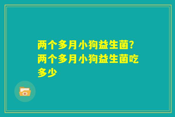 两个多月小狗益生菌？两个多月小狗益生菌吃多少