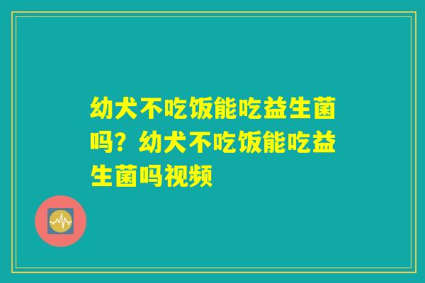 幼犬不吃饭能吃益生菌吗?幼犬不吃饭能吃益生菌吗视频 幼犬不吃饭能吃益生菌吗?幼犬不吃饭能吃益生菌吗视频