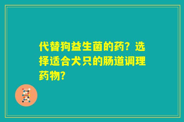 代替狗益生菌的药？选择适合犬只的肠道调理药物？