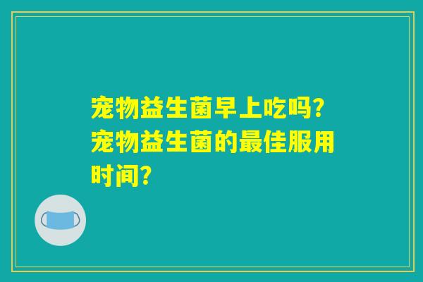 宠物益生菌早上吃吗？宠物益生菌的最佳服用时间？