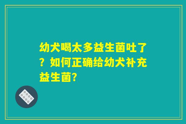 幼犬喝太多益生菌吐了？如何正确给幼犬补充益生菌？