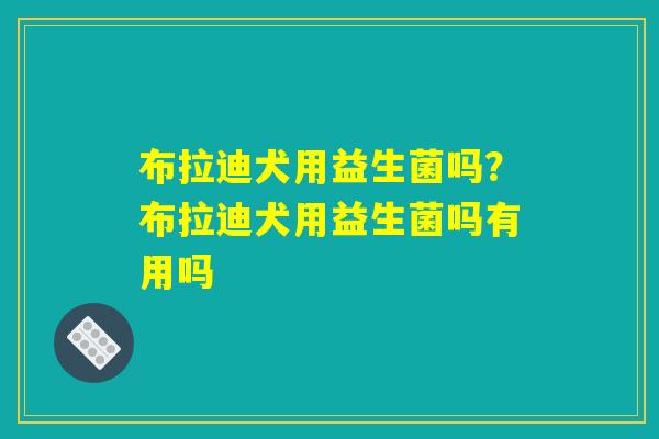 布拉迪犬用益生菌吗？布拉迪犬用益生菌吗有用吗