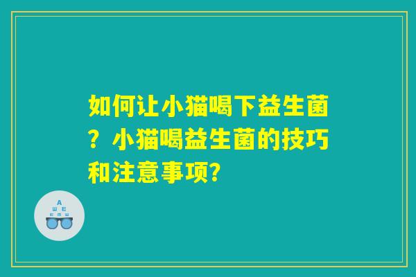 如何让小猫喝下益生菌？小猫喝益生菌的技巧和注意事项？