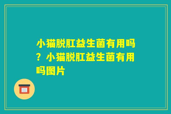 小猫脱肛益生菌有用吗？小猫脱肛益生菌有用吗图片