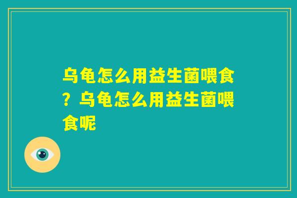 乌龟怎么用益生菌喂食？乌龟怎么用益生菌喂食呢