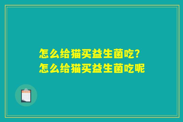 怎么给猫买益生菌吃？怎么给猫买益生菌吃呢