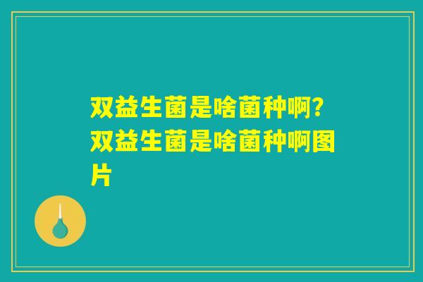 双益生菌是啥菌种啊?双益生菌是啥菌种啊图片 双益生菌是啥菌种啊?双益生菌是啥菌种啊图片