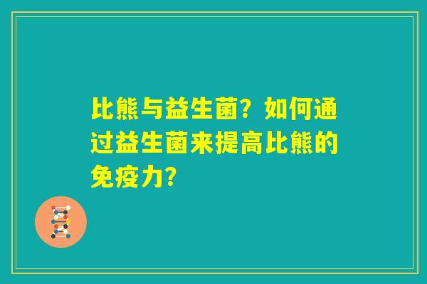 比熊与益生菌？如何通过益生菌来提高比熊的免疫力？