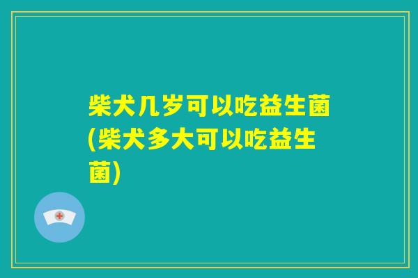 柴犬几岁可以吃益生菌(柴犬多大可以吃益生菌) 柴犬几岁可以吃益生菌(柴犬多大可以吃益生菌)