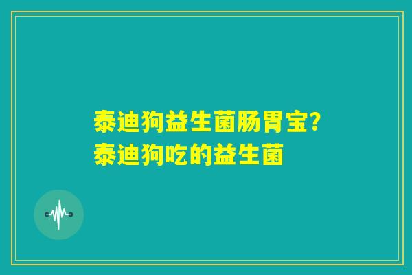 泰迪狗益生菌肠胃宝？泰迪狗吃的益生菌