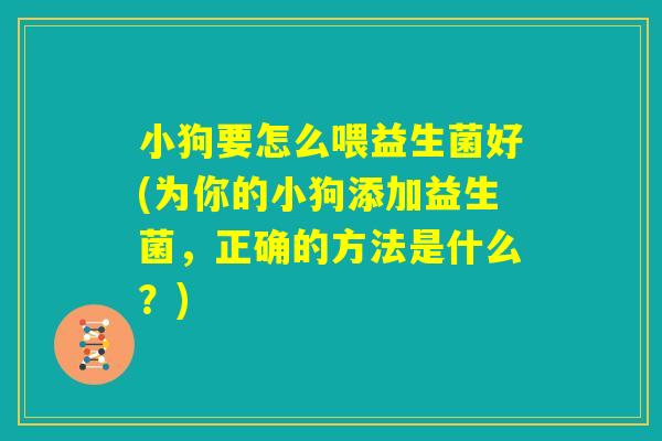 小狗要怎么喂益生菌好(为你的小狗添加益生菌，正确的方法是什么？)