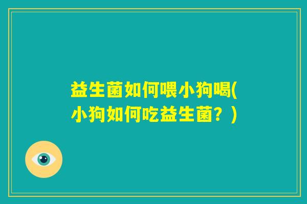 益生菌如何喂小狗喝(小狗如何吃益生菌?) 益生菌如何喂小狗喝(小狗如何吃益生菌?)