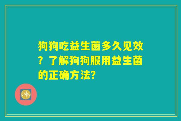 狗狗吃益生菌多久见效?了解狗狗服用益生菌的正确方法? 狗狗吃益生菌多久见效?了解狗狗服用益生菌的正确方法?