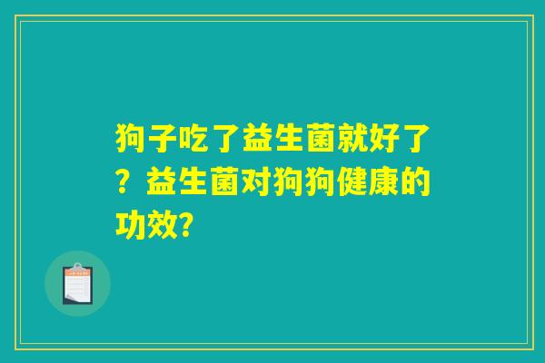 狗子吃了益生菌就好了?益生菌对狗狗健康的功效? 狗子吃了益生菌就好了?益生菌对狗狗健康的功效?