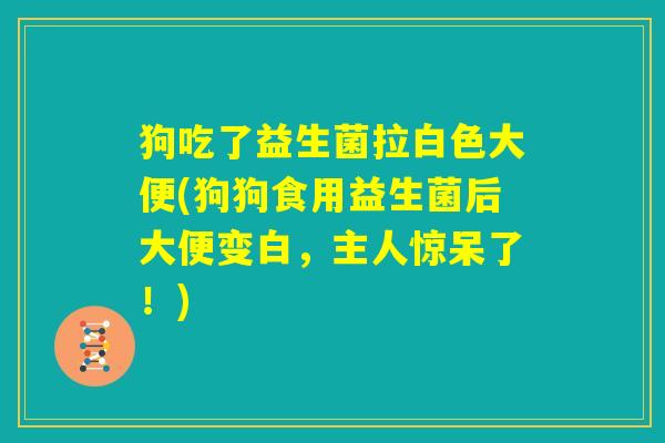 狗吃了益生菌拉白色大便(狗狗食用益生菌后大便变白,主人惊呆了!) 狗吃了益生菌拉白色大便(狗狗食用益生菌后大便变白,主人惊呆了!)