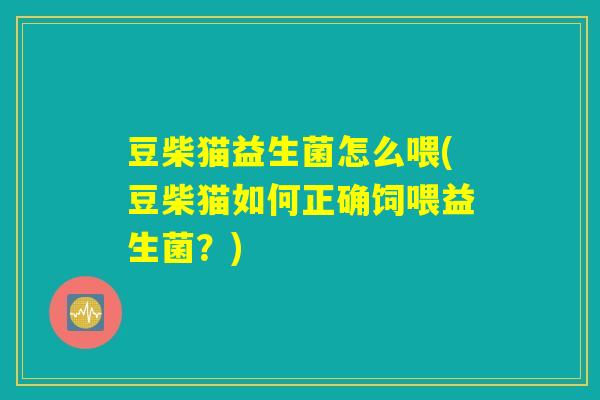 豆柴猫益生菌怎么喂(豆柴猫如何正确饲喂益生菌？)