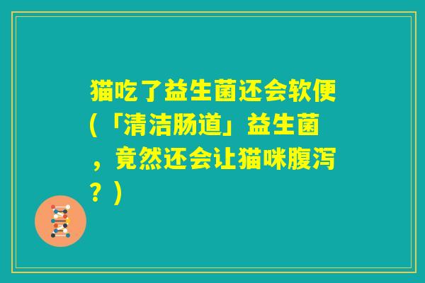 猫吃了益生菌还会软便(「清洁肠道」益生菌,竟然还会让猫咪腹泻?) 猫吃了益生菌还会软便(「清洁肠道」益生菌,竟然还会让猫咪腹泻?)
