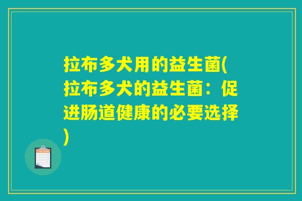 拉布多犬用的益生菌(拉布多犬的益生菌:促进肠道健康的必要选择) 拉布多犬用的益生菌(拉布多犬的益生菌:促进肠道健康的必要选择)