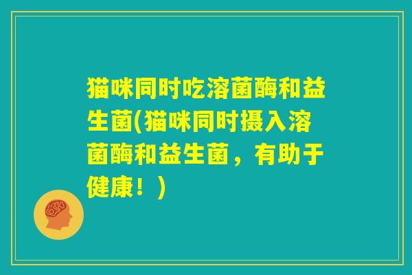 猫咪同时吃溶菌酶和益生菌(猫咪同时摄入溶菌酶和益生菌,有助于健康!) 猫咪同时吃溶菌酶和益生菌(猫咪同时摄入溶菌酶和益生菌,有助于健康!)