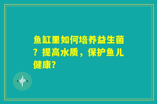 鱼缸里如何培养益生菌？提高水质，保护鱼儿健康？