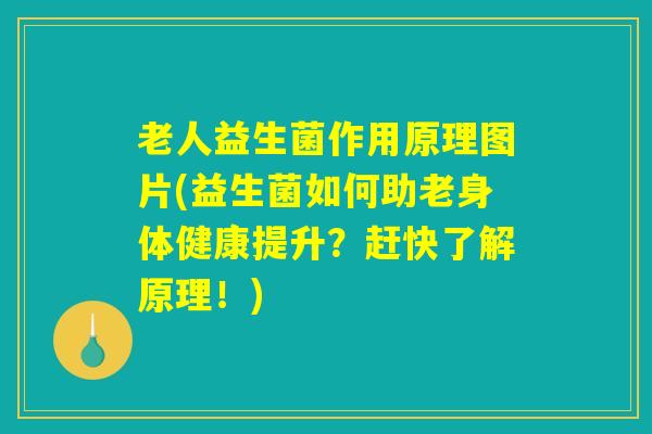 老人益生菌作用原理图片(益生菌如何助老身体健康提升?赶快了解原理!) 老人益生菌作用原理图片(益生菌如何助老身体健康提升?赶快了解原理!)