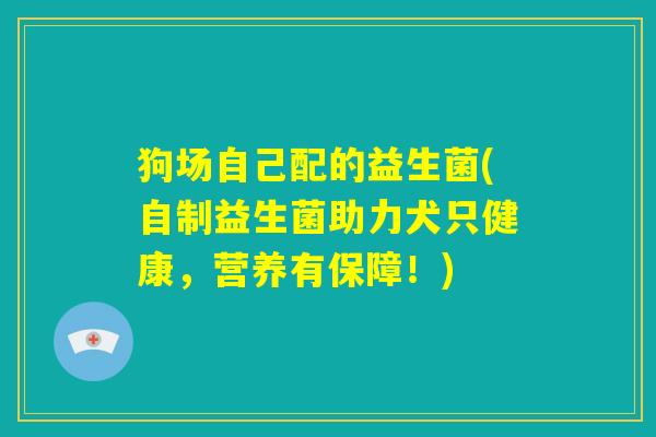 狗场自己配的益生菌(自制益生菌助力犬只健康,营养有保障!) 狗场自己配的益生菌(自制益生菌助力犬只健康,营养有保障!)