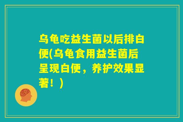 乌龟吃益生菌以后排白便(乌龟食用益生菌后呈现白便，养护效果显著！)