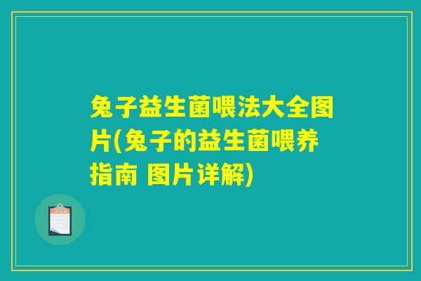 兔子益生菌喂法大全图片(兔子的益生菌喂养指南 图片详解)