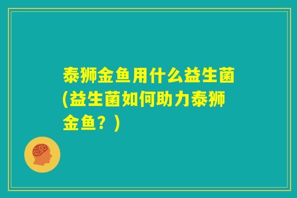 泰狮金鱼用什么益生菌(益生菌如何助力泰狮金鱼?) 泰狮金鱼用什么益生菌(益生菌如何助力泰狮金鱼?)