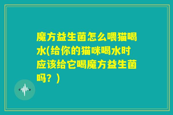 魔方益生菌怎么喂猫喝水(给你的猫咪喝水时应该给它喝魔方益生菌吗？)