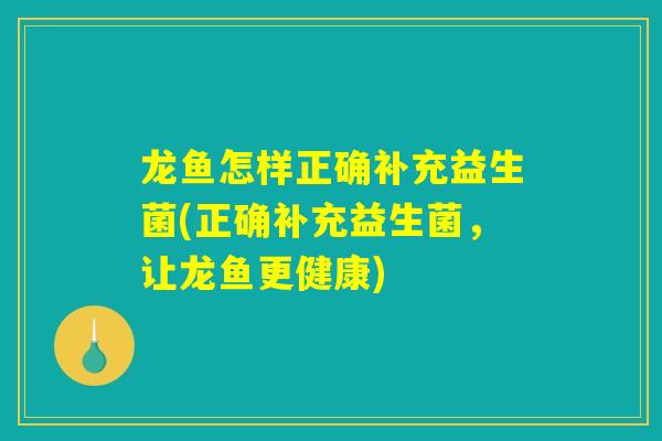 龙鱼怎样正确补充益生菌(正确补充益生菌,让龙鱼更健康) 龙鱼怎样正确补充益生菌(正确补充益生菌,让龙鱼更健康)
